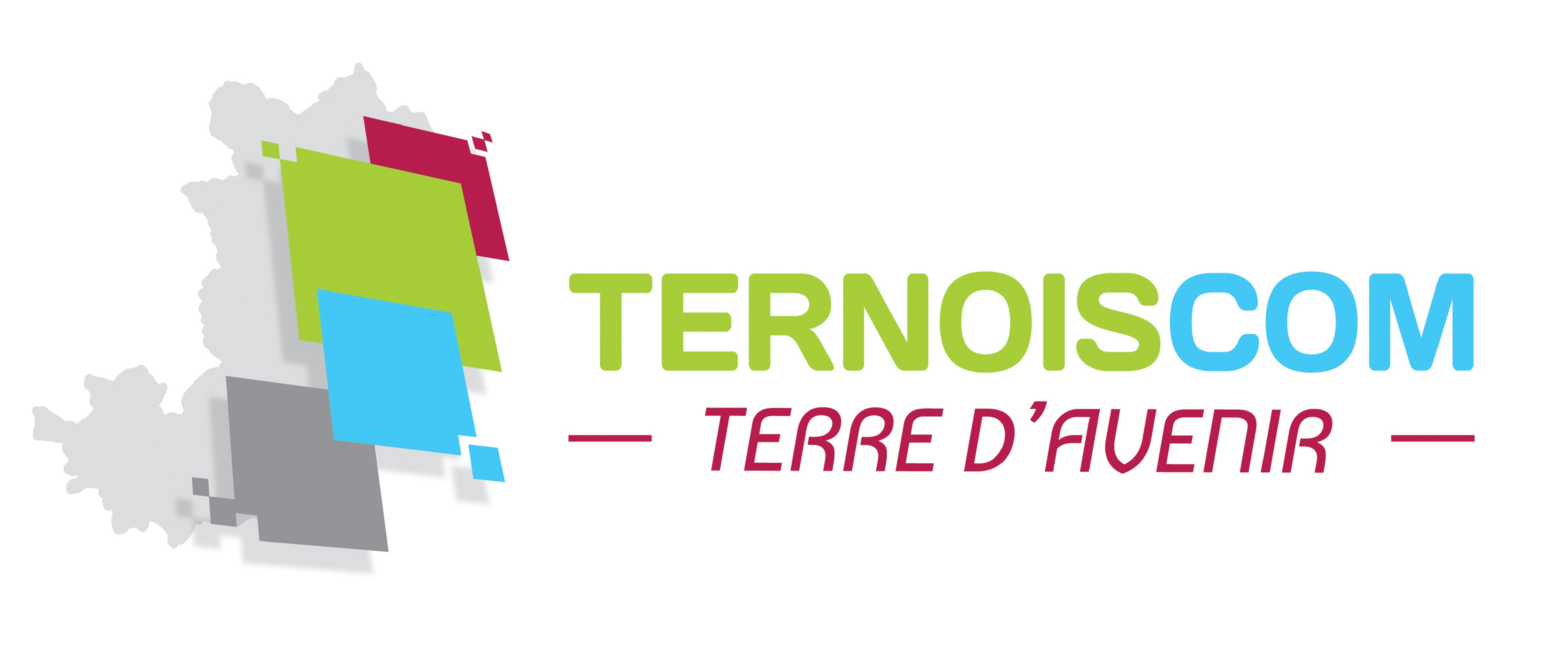Logo TernoisCom